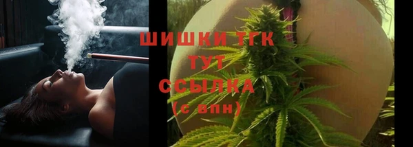ECSTASY Новозыбков