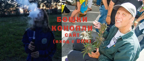 молекула духа Новокубанск