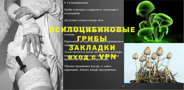 ECSTASY Новозыбков
