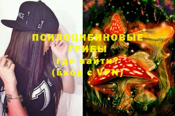 ECSTASY Новозыбков
