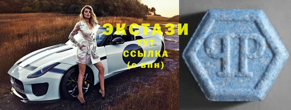 ECSTASY Новозыбков