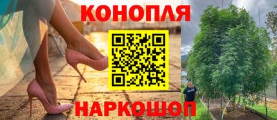 сатива Волжский