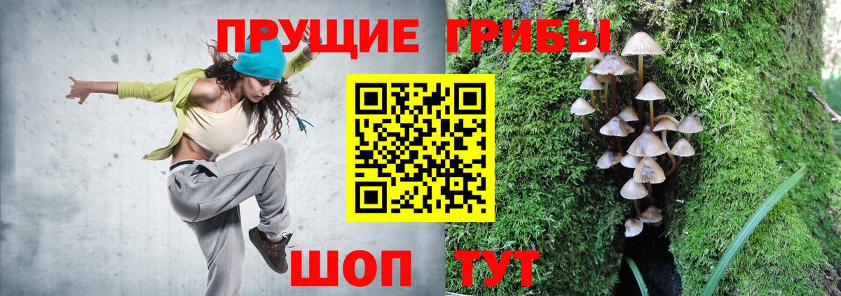 Псилоцибиновые грибы Psilocybe Куйбышев